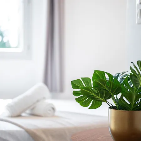 Apartman Cosy Vieille *